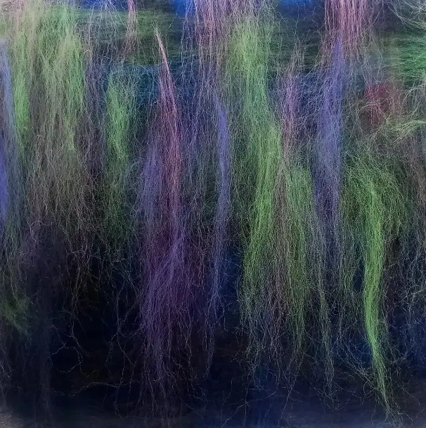 Wet Felting Basics: How to Create Felt without Specialized&nbsp;Tools